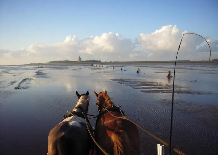 Residenz Trossenstek Daire